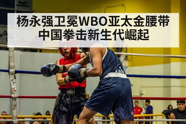 杨永强卫冕WBO亚太金腰带 中国拳击新生代崛起